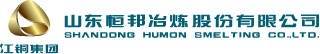 山东新视野冶炼股份有限公司