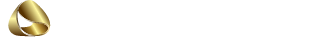 山东新视野冶炼股份有限公司